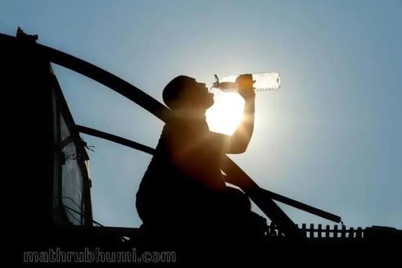 images - 2026-02-25T175354.197