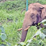 images - 2026-03-07T185441.046