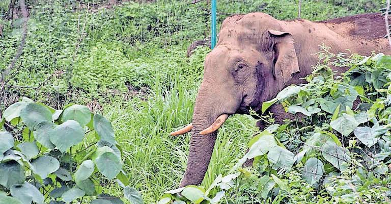 images - 2026-03-07T185441.046