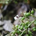 images - 2026-03-11T185125.963