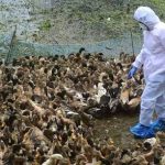 images - 2026-03-19T162024.735