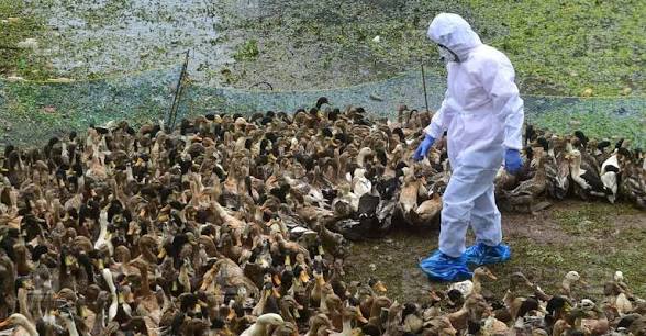 images - 2026-03-19T162024.735