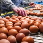 images - 2026-03-26T175744.364