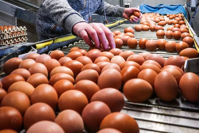 images - 2026-03-26T175744.364