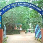 images - 2026-03-27T172026.587