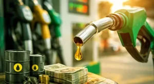 Untitled-1-Recovered-13