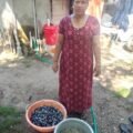 IMG-20260522-WA0032