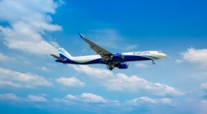 indigo