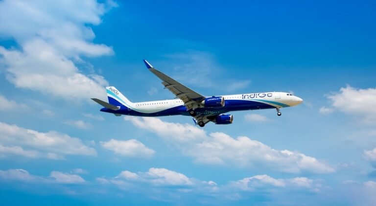 indigo