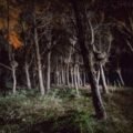 images(12)_resize