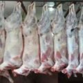 mutton