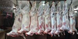 mutton