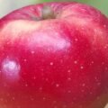 apple-new-saved