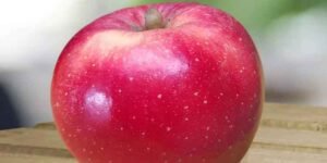 apple-new-saved