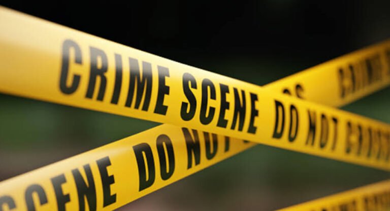 crime-copy-2