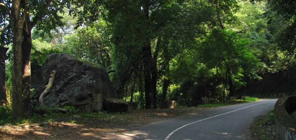 nelliyampathy-road-night-travel-restrictions