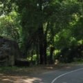 nelliyampathy-road-night-travel-restrictions