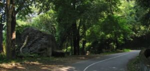 nelliyampathy-road-night-travel-restrictions