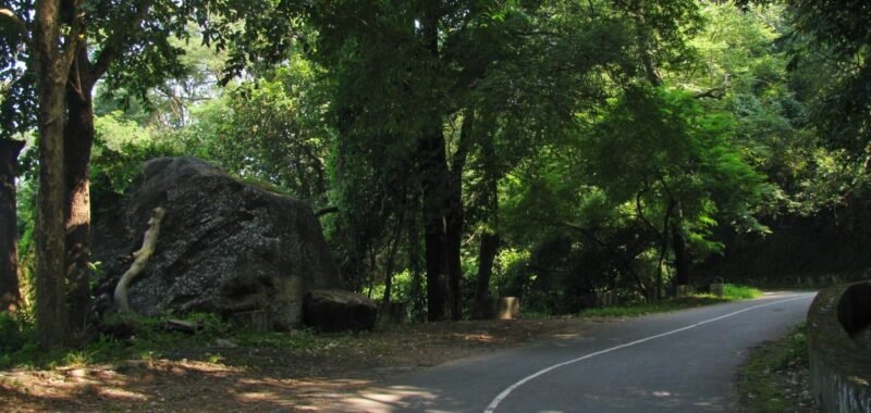 nelliyampathy-road-night-travel-restrictions