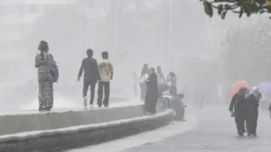 rain-1782915089154-4ee0f346-8ed2-45ee-8722-f168d9747252-900x506