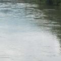 river