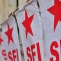 sfi-2-1024x556