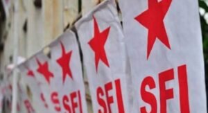 sfi-2-1024x556