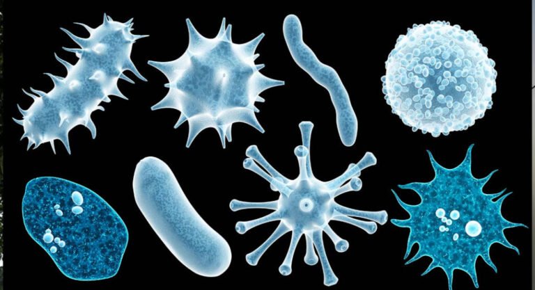 virus-1024x556