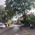 IMG-20260810-WA0005