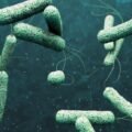 cholera-virus-1-1-1024x556