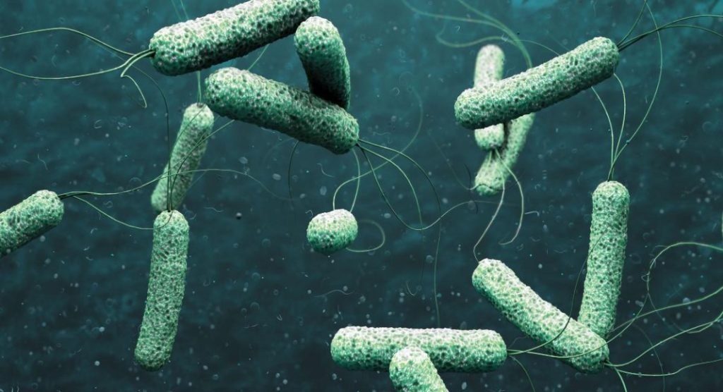 cholera-virus-1-1-1024x556