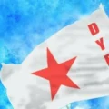 dyfi-new-image
