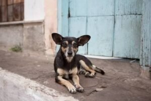 images - 2026-08-24T202956.742