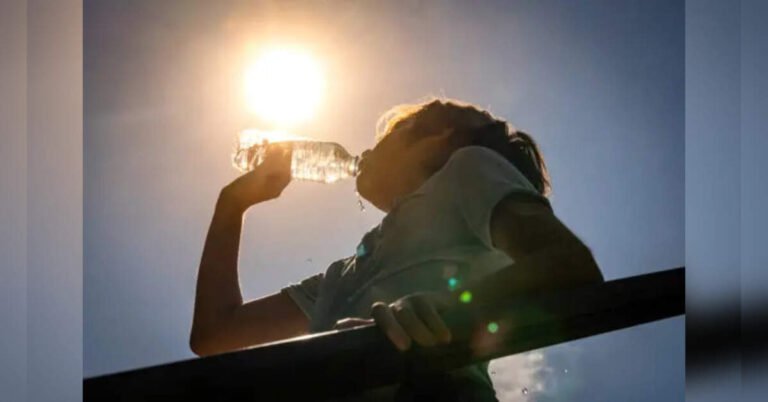 imd-warns-of-heatwave-in-chennai-6-8-days-of-extreme-heat-likely-till-june