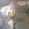 IMG-20261020-WA0011
